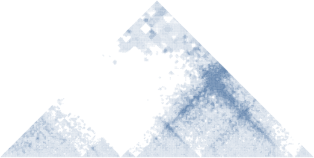 Measured Hi-C contact map from HFF cells drawn as a triangle along the genome, printed as a halftone. Domains of frequent contact rise as smaller triangles along the base.