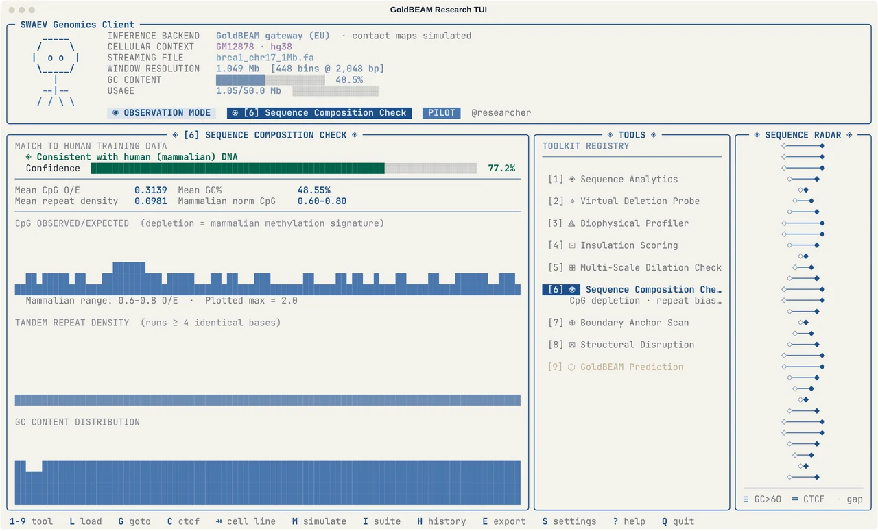 GoldBEAM research TUI running the Sequence Composition Check on 1,048,576 bp of human chromosome 17 around BRCA1. The panel reports that the sequence is consistent with human DNA, with CpG observed/expected, repeat density and GC content charts, beside the list of nine tools.