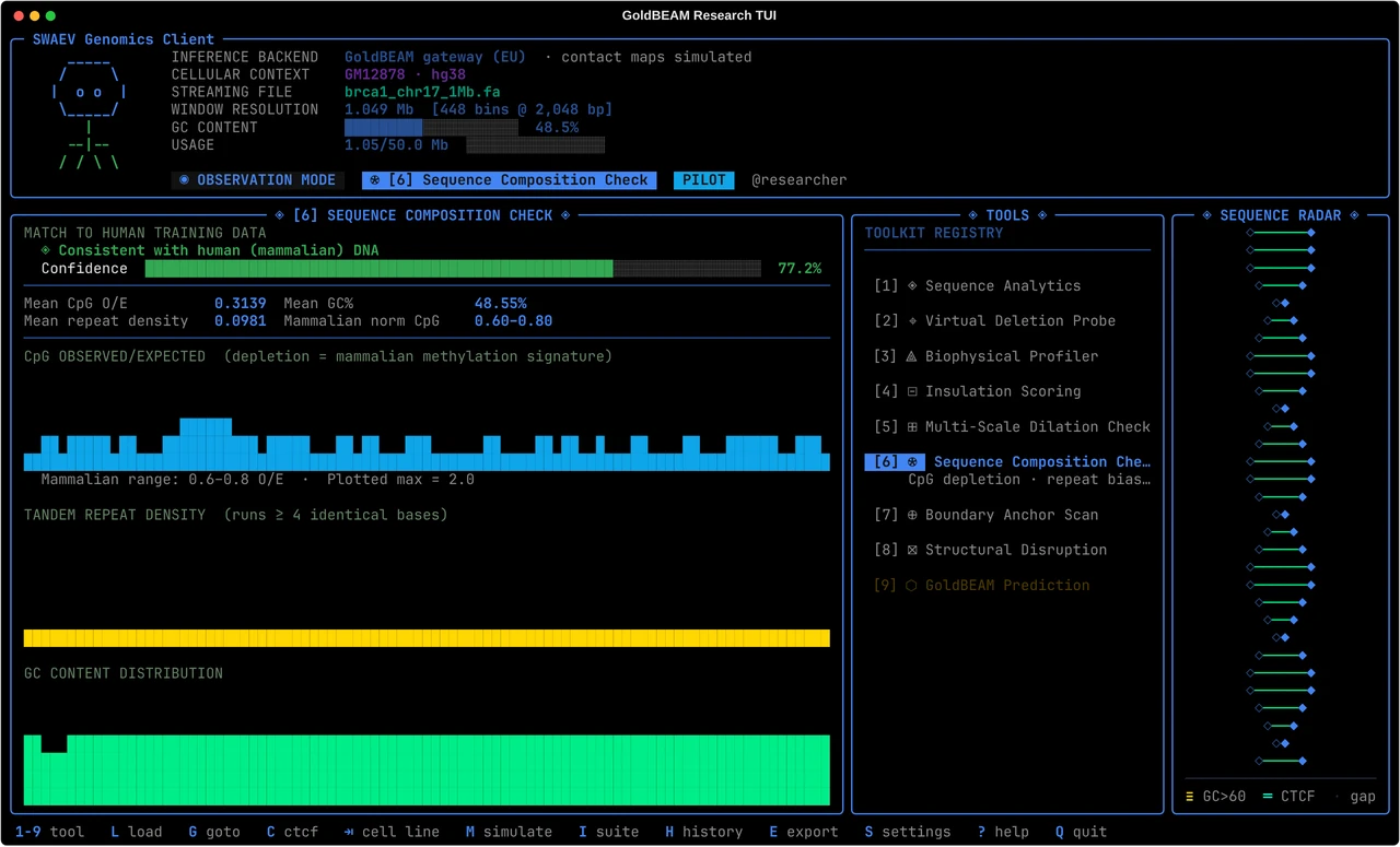 GoldBEAM research TUI running the Sequence Composition Check on 1,048,576 bp of human chromosome 17 around BRCA1. The panel reports that the sequence is consistent with human DNA, with CpG observed/expected, repeat density and GC content charts, beside the list of nine tools.